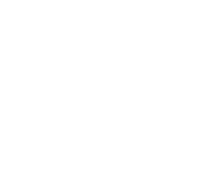 Transportista – encarregat/da de magatzem (Ref. 4128)